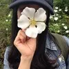Shirley Tang