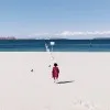 Ada Wang