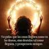 Jose Arce