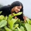 Divya Dharshni