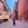 Aiat Abu Shuaib