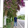 Ashim Jyoti Borah