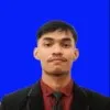 Roy Binsar