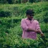 Chandra Sathwik chowdary