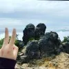 Yaorong Situ