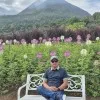 Alfid Surachman