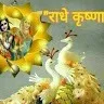 netal pirthani