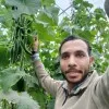 Amr krella
