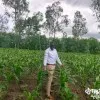 KENETH OTIENO