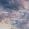 Sadaf