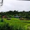 Uma Rani