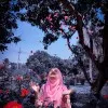 Homyra Binte Hamid Homyra
