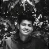 Faris