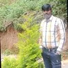 Jai Shankar
