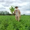 Eng Agrônomo Wesly Mendes