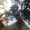 Hamide Daş