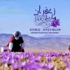 Saffron Export