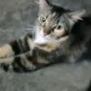 Nana Nurhiwan