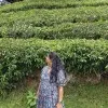 Mahavardhini