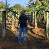 Pradeep Kumar Panigrahi