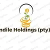Nandile Holdings
