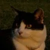 Zaylynn Roberts