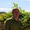 Flavio Vigil