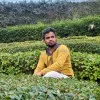 Jagadeeswara Reddy Mula