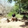 Jai Subramaniam