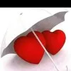 Lee cun Shoo