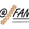 Arroba FAN SpA