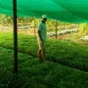 Yerala International
