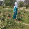 Sehrish Anwar