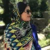 Fatemeh Hamidi