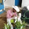 Prem Kumar