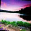 Sibasish Rout