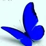 Sangeetha