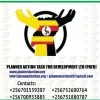 Planned Action task uganda