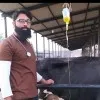 Inam Ul Haq