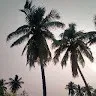 Naraboina Supriya