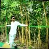 Ravi Vaghela