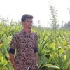 Harish