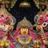 India Count