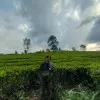 Dimasyanuar fahlevi