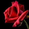 CHAGALAAA MOHANTY