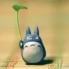 Catie Shen