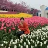 Hoi Yan
