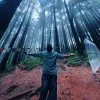 Suman Roy