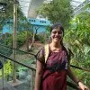 SANVITTI SHARMA