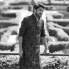 Mihir Shetye